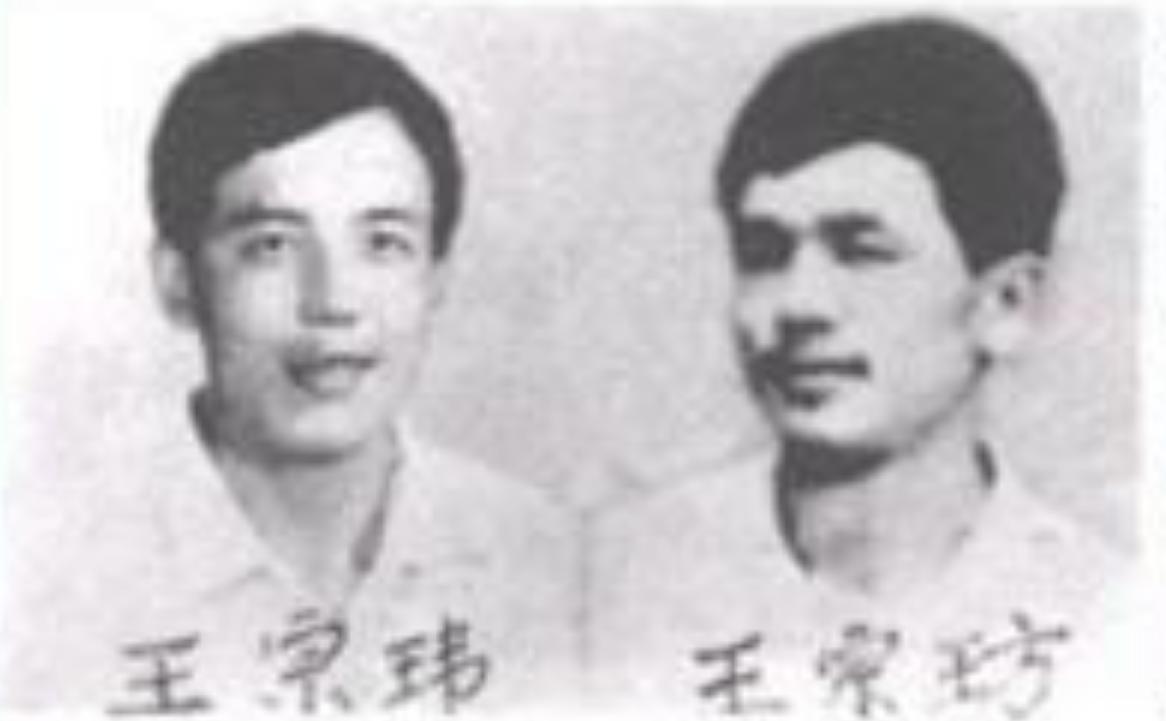 东北二王杀人案1983,东北二王特大杀人案