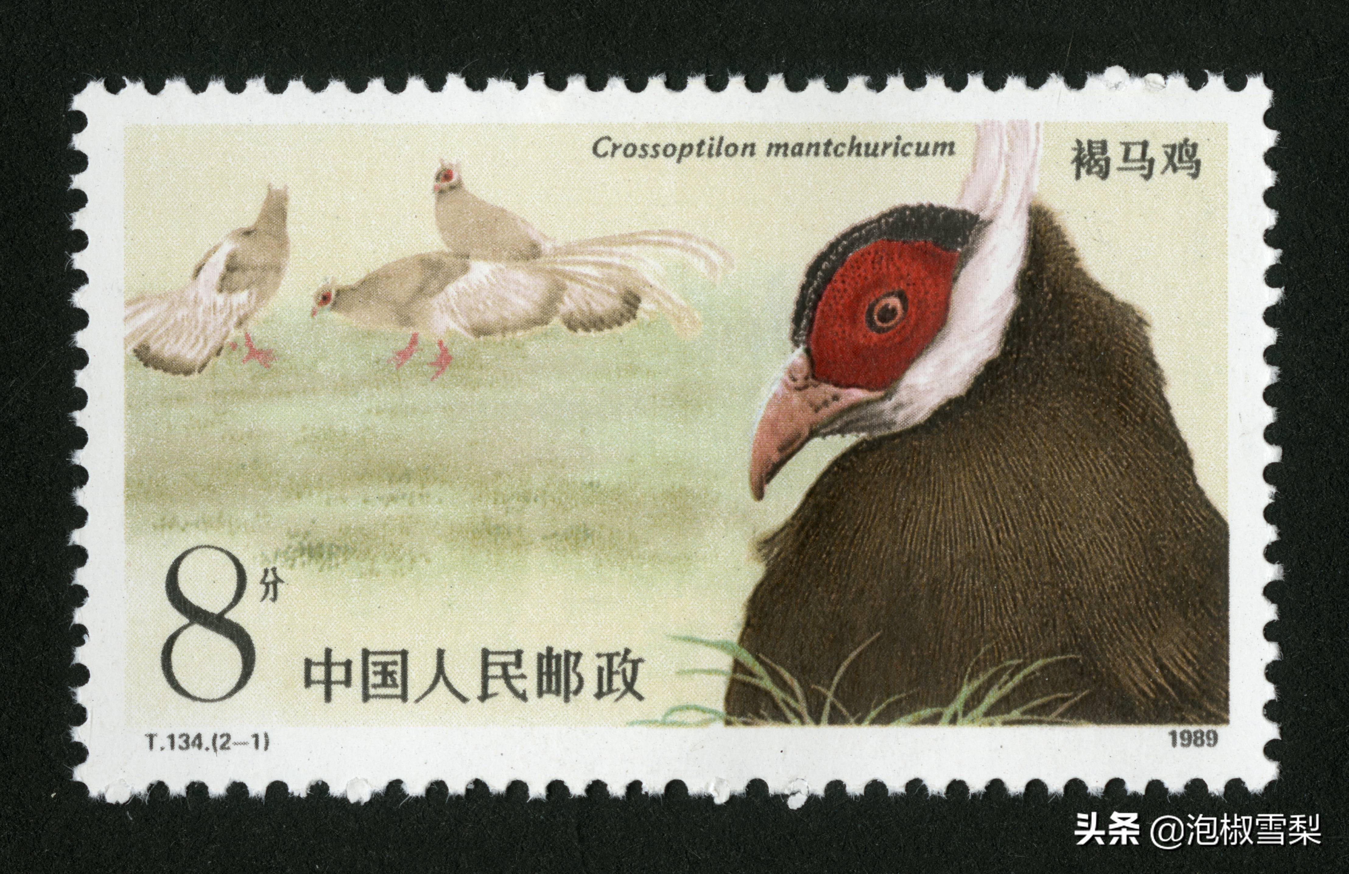 中国1989年发行的全部邮票图片｜正负电子对撞机.火箭.孔子.癌症