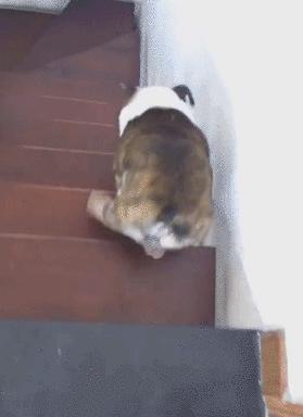 这个手势代表什么意思,中指无名指弯曲这个手势什么意思