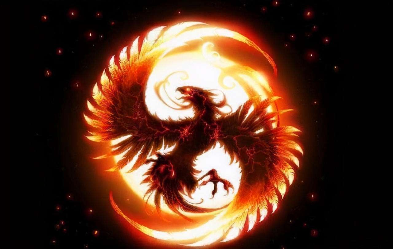 凤凰能浴火重生吗,凤凰真能浴火吗