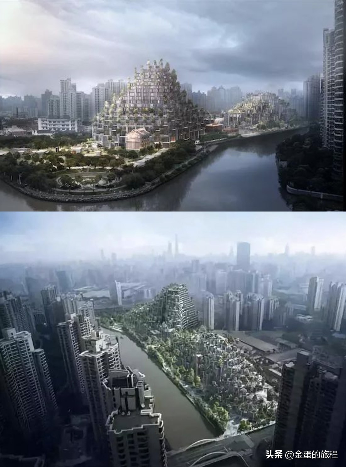 上海天安千树1分钟镜头,上海网红建筑天安千树