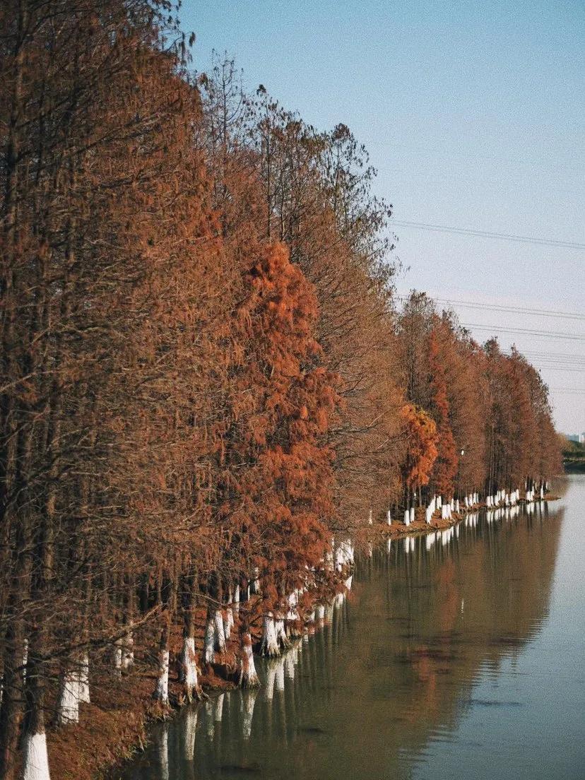 探秘上海私藏的旅行宝藏地,上海十大宝藏景点图片大全