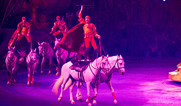 去长隆住哪个酒店经济实惠,去长隆住哪个酒店最好玩