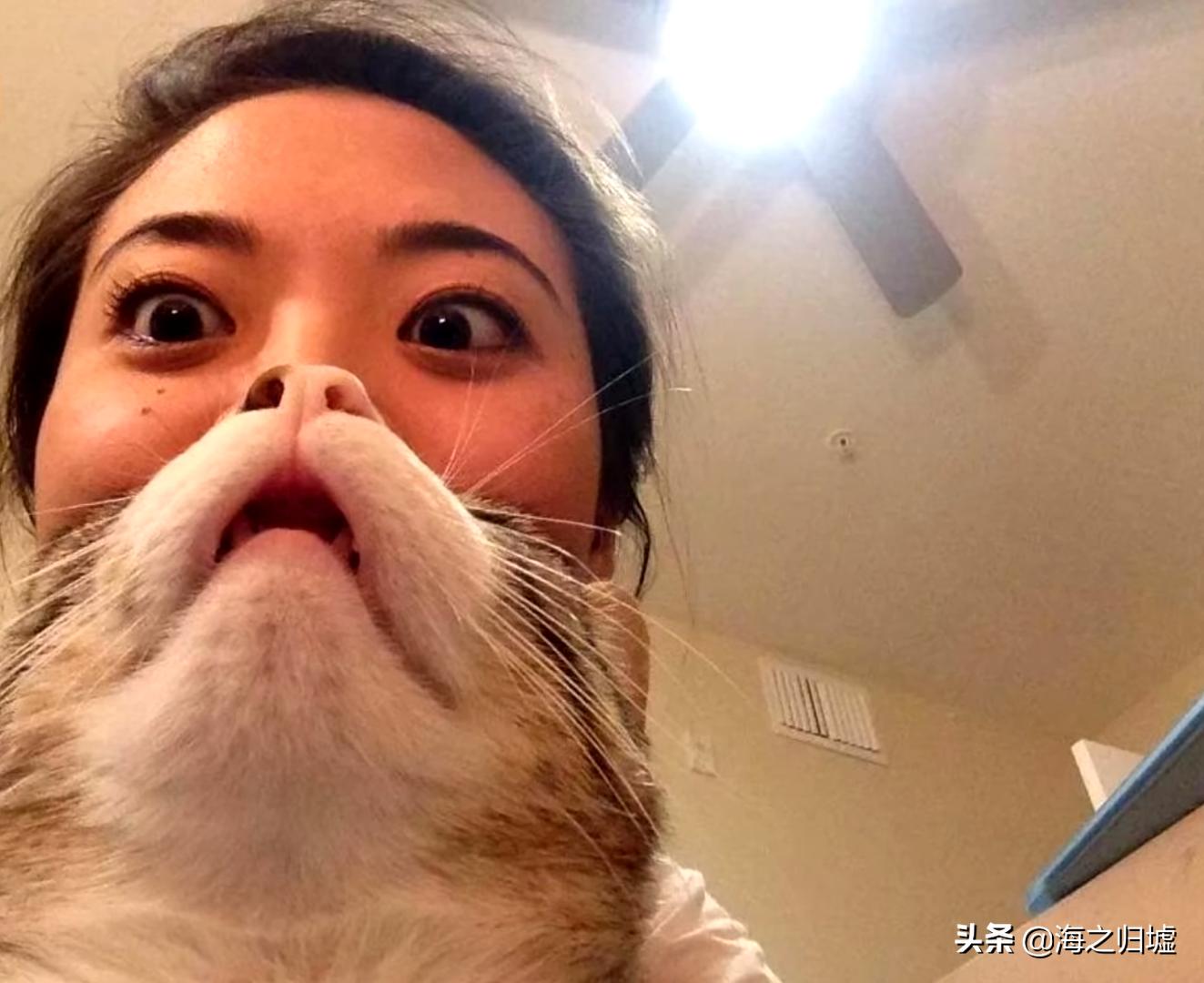 16张不可思议的巧合照片,33张不可思议的巧合照片