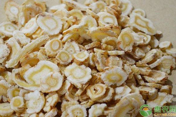 沙参亩产多少斤每斤多少钱,沙参种植产量价格