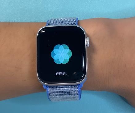 「药房刘老板」AppleWatchS5评测：你的私人健康顾问