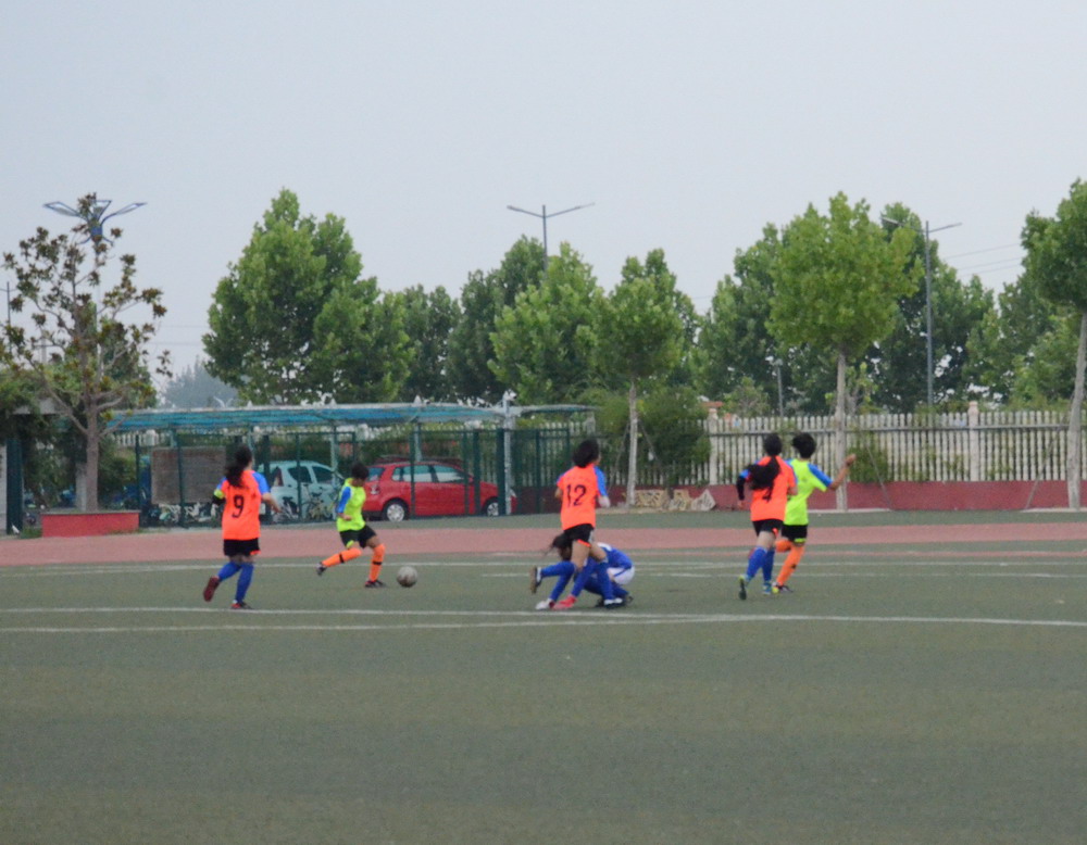 2017临沭县足球联赛,彭山区2019中小学生足球联赛比赛