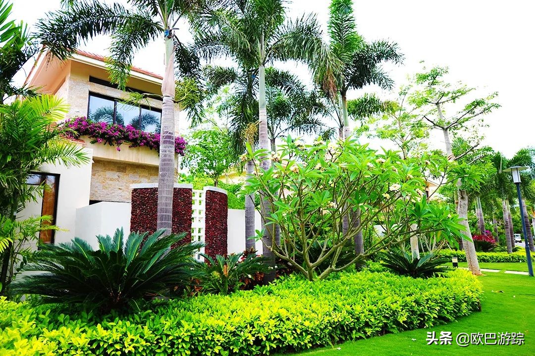 三亚维景度假酒店，占地100000多平米，位于天下第一湾的亚龙湾