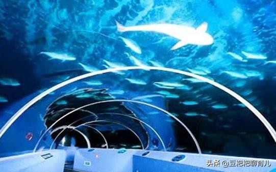 亲子游玩动物园地点推荐,假期亲子去哪玩