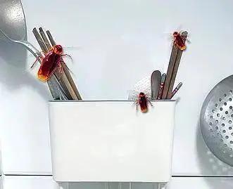 不要乱放筷子，长期潮湿发霉，开水也烫不掉，用它熏一下就好了