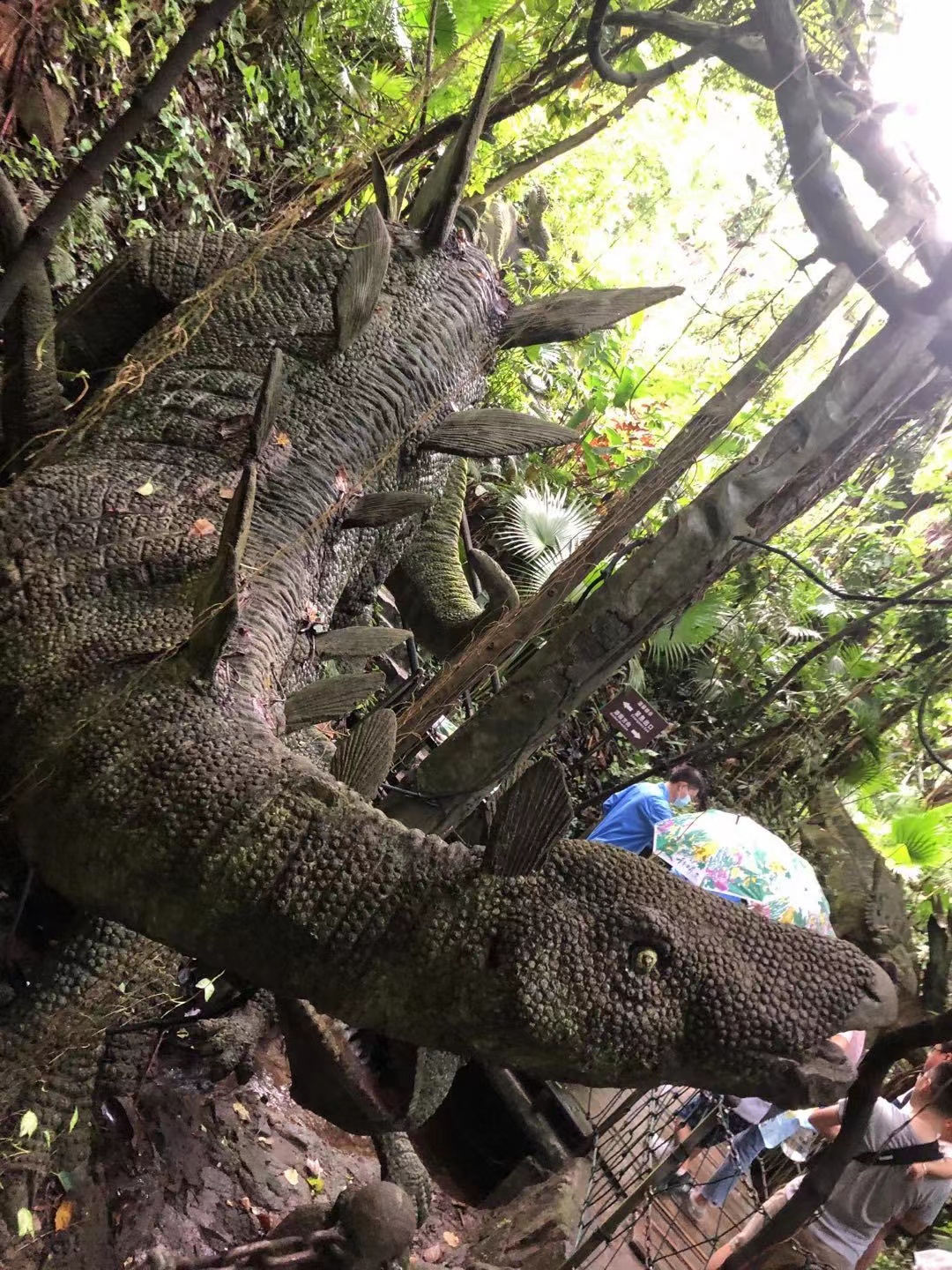 深圳青青世界公园,深圳青青世界门票