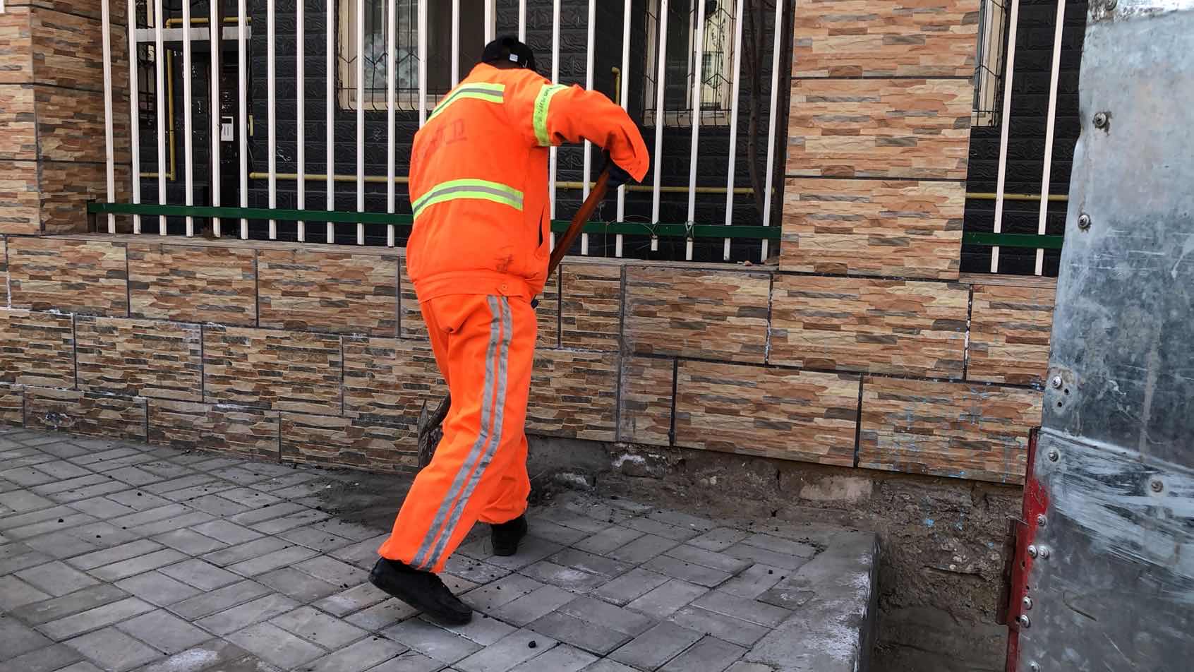 “城市黄玫瑰绽放新英姿”