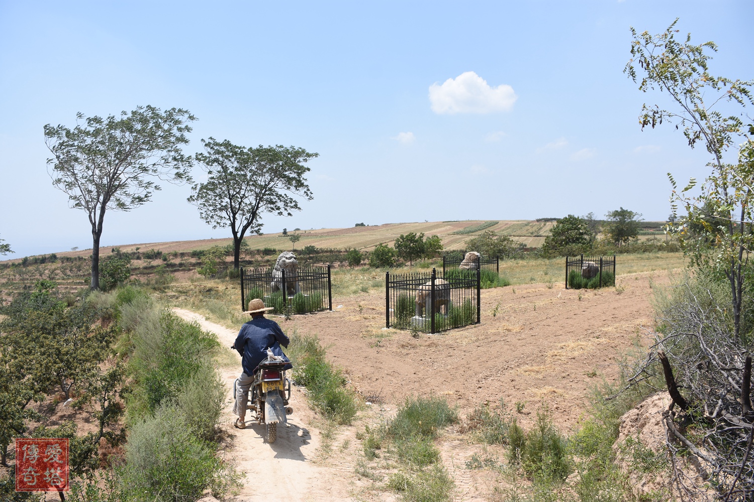 2020年经典电视剧有哪些,2020年将要播出的电视剧有哪些