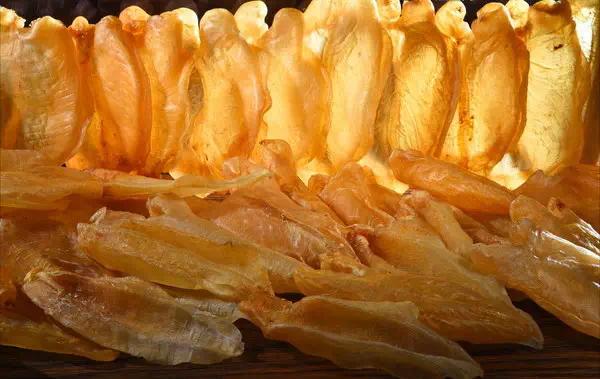 花胶新手入门教程,新手花胶选购攻略图文大全