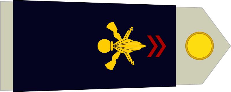 法国将军军衔等级,法国上校是什么军衔