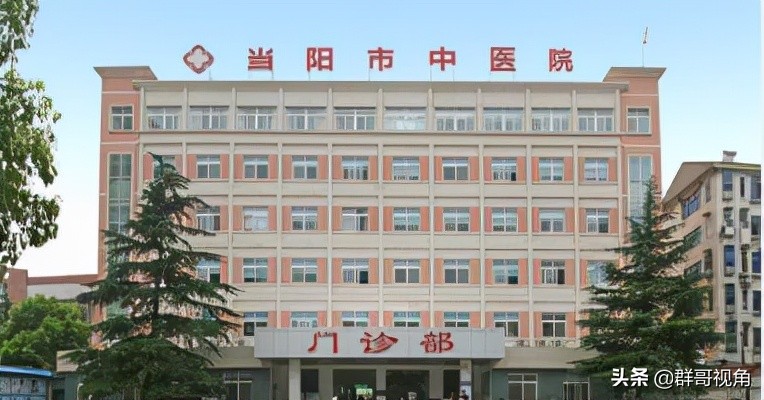 宜昌市县级以上医院,宜昌各医院等级排名