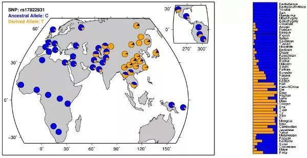汗多腋臭脚臭怎么办,腋臭脚臭体臭用什么药
