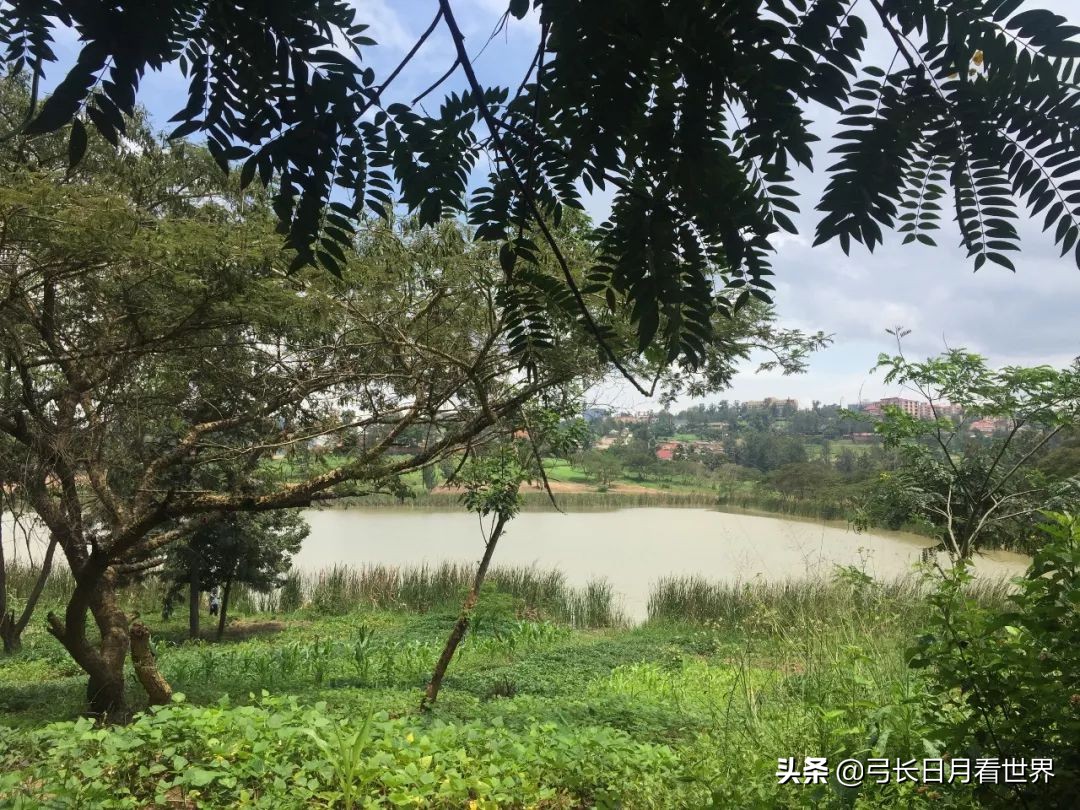 揭秘非洲不为人知的斗鱼直播