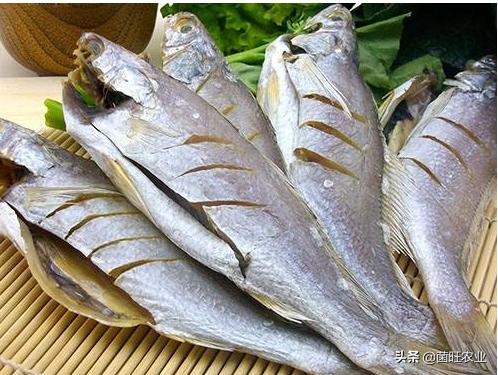 猫吃的烤箱小鱼干烘干的正确方法,淡水小鱼干自然晾干和烘干的区别