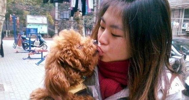 泰迪舔人的“5大秘密”，并不是喜欢你才舔你的