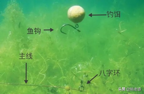 欧鲤远投钓法视频教程,欧鲤钓法适合什么水域