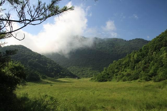 放假了，就去旬阳羊山吸氧、养心，洋洋自得拍“抖音”吧！