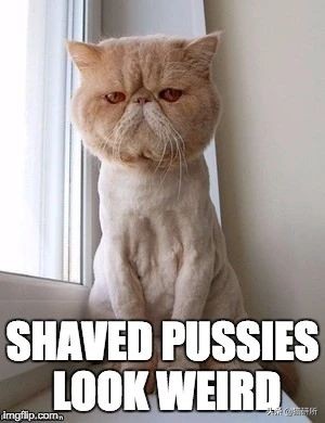 猫癣不好上药,猫癣一直不好越来越多