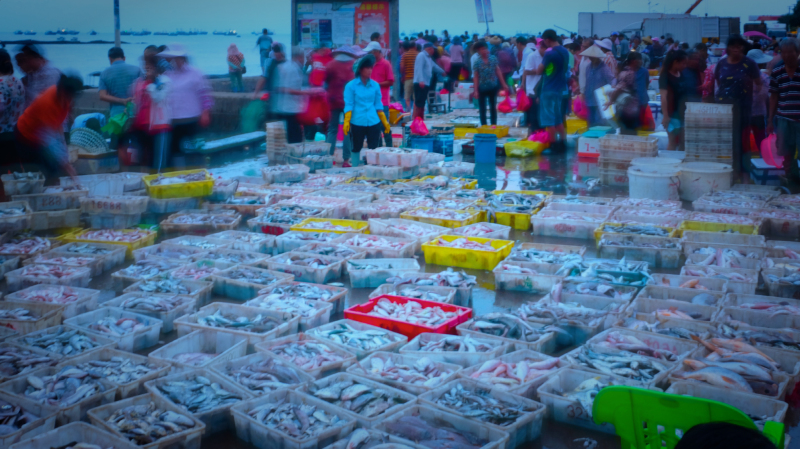 广东湛江景点及美食攻略,广东游记湛江市最美味的海鲜