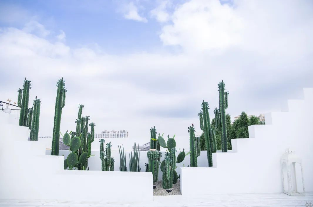 深圳山池咖啡店,深圳最著名10家咖啡厅