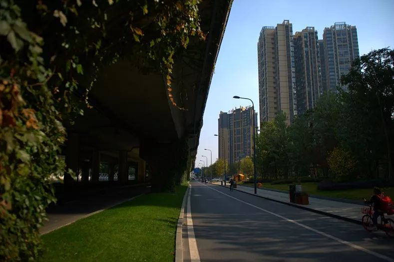 攀成钢变迁记实：曾经无缝难忘怀两鬓斑白忆当年