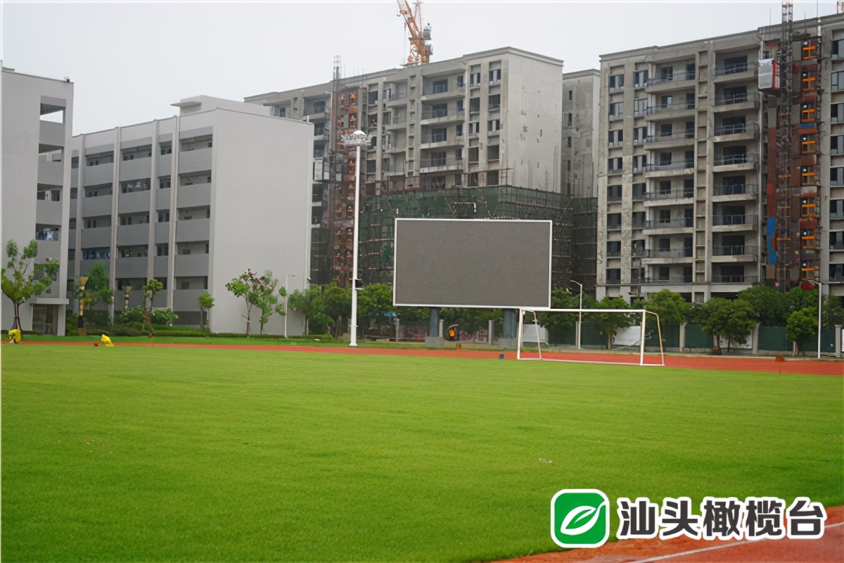 汕头亚青会足球赛,汕头亚青会三期