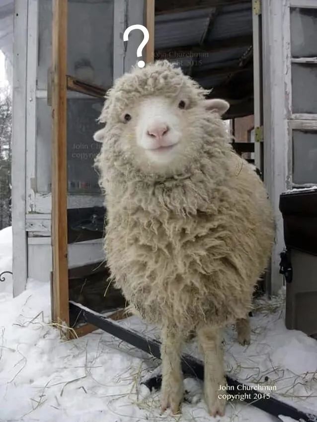 如何设置自己和自己聊天,自己和自己在脑子里聊天有问题吗