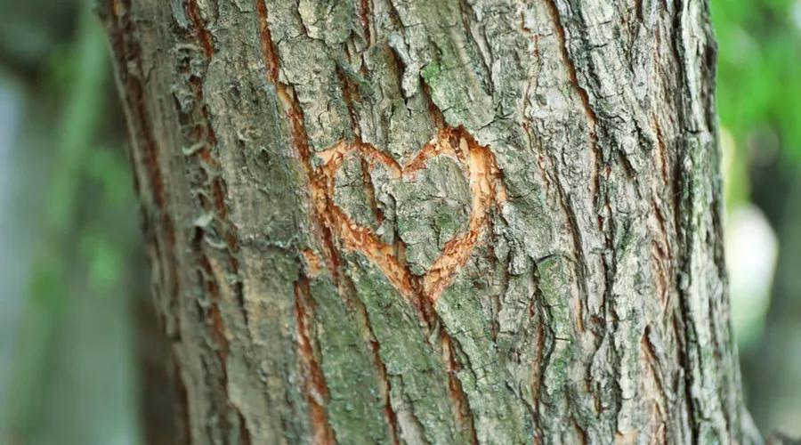 激光祛疤的利弊大揭秘,激光祛疤的原理和方法