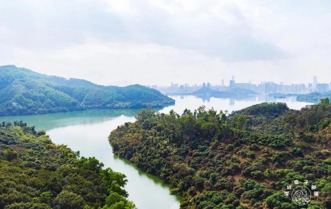 深圳遛娃必去的50个主题公园,深圳亲子游十佳去处免费