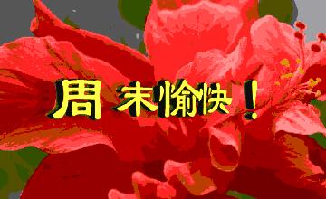 悠闲时光品一杯茶,品一杯飘香四溢的普洱茶