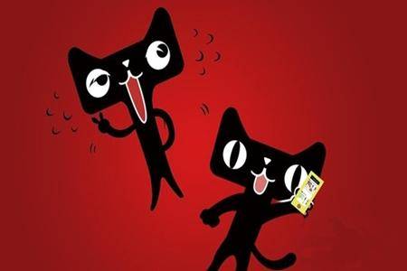 天猫入驻总是失败的原因在哪里,天猫入驻失败对再申请有什么影响