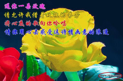 明日七夕，777幸福花送给群里所有的朋友，谁打开，谁幸福