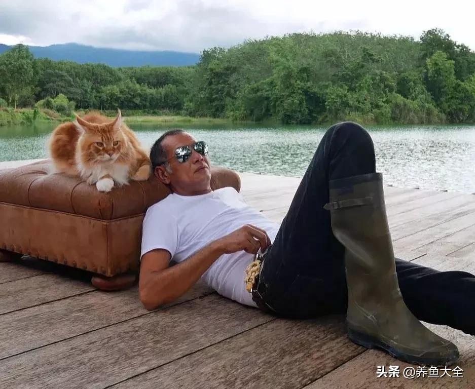 自家水库里养龙鱼，原来龙鱼和魟鱼还能这么养？