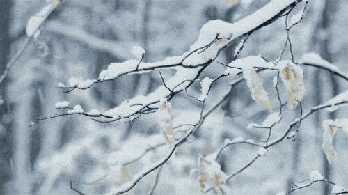 关于雪的经典诗句古诗大全,冷门意境超美古诗词带雪