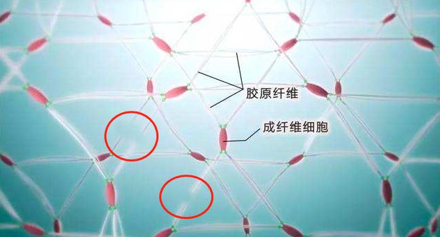 拯救毛孔粗大测评,毛孔粗大拯救全过程