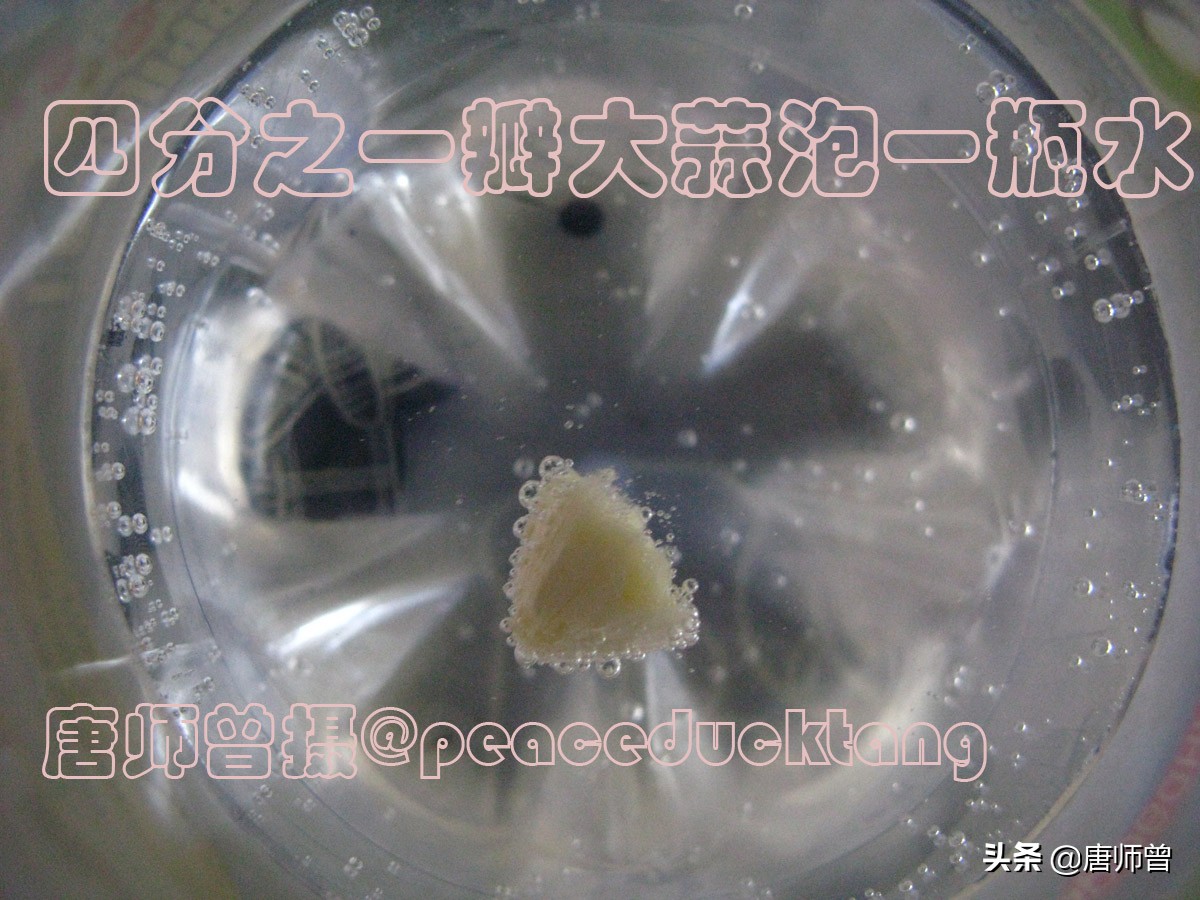 20201204唐师曾：丝绸之路，苍蝇争食，一瓣大蒜