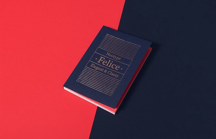 「海平面」瑞士NicoInosanto书籍封面/镂空工艺