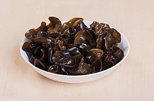 真菌小知识,关于真菌的认知