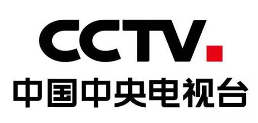 原新闻联播主持人王宁个人简历,新闻联播主持人王宁个人资料
