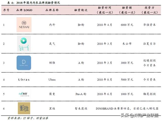 女士内衣网络市场分析,内衣行业与市场监测报告