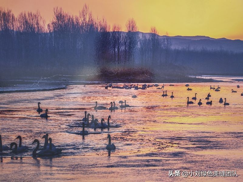 五一来北戴河赶海,五一去营口赶海