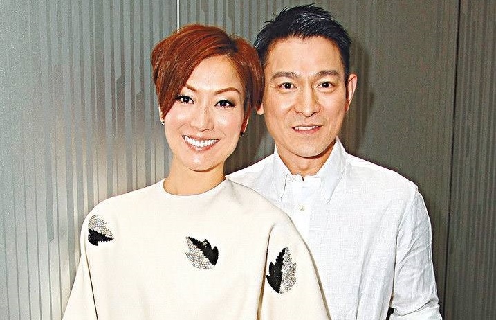 刘德华郑秀文演的电影,刘德华郑秀文孤男寡女歌曲