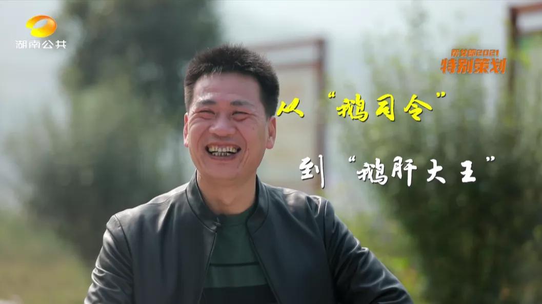 怎样养鹅年收入五万元,怎样养鹅年收入百万