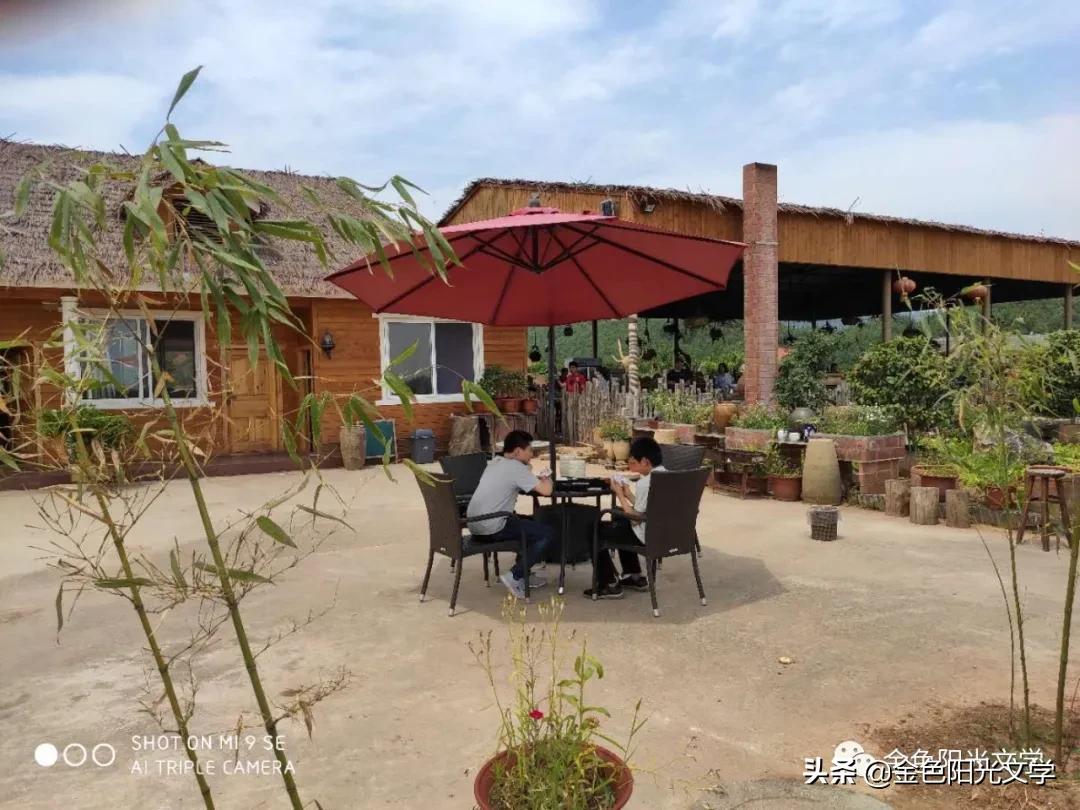 我的乐园作文指导,游迪士尼乐园作文