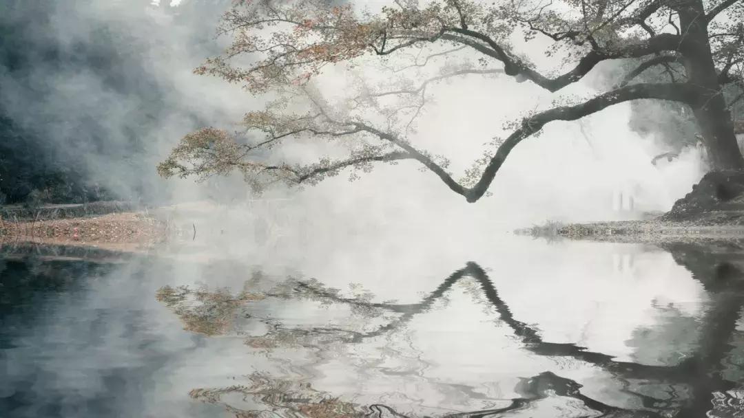 苏轼三首诗词写出三种人生境界,苏轼写人生百味的五首诗词